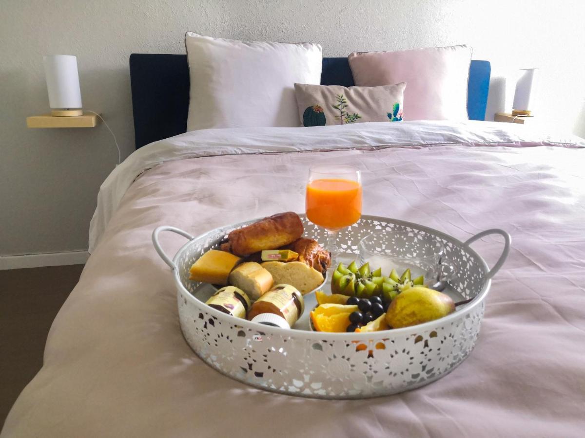 Appartement Toulouse Blagnac Aeroport Iut Parking Proche De Toutes Commodites Belle Terrasse Netflix Luaran gambar