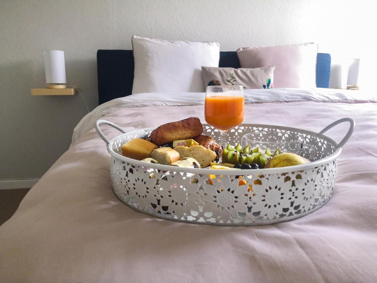Appartement Toulouse Blagnac Aeroport Iut Parking Proche De Toutes Commodites Belle Terrasse Netflix Luaran gambar