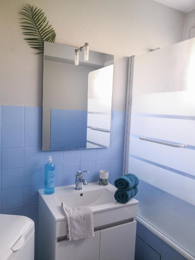 Appartement Toulouse Blagnac Aeroport Iut Parking Proche De Toutes Commodites Belle Terrasse Netflix Luaran gambar